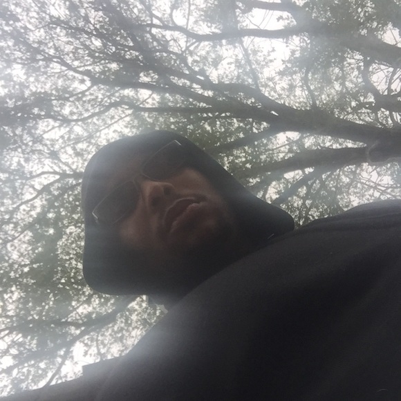 Meet your Posher, Greensphinx - Picture 1 of 1